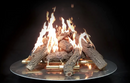 Warming Trends OSM 12-Piece Log Set